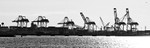New Jersey Docks from Liberty