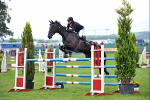 EQUISCOT 9295