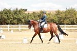SBM_009492