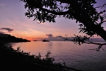 Meadfoot Beach Sunrise and trees in silhouette