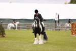 SBM_06181