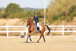 SBM_016498