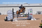 BPP_1164