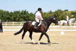 SBM_011652