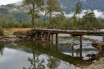 Wooden Bridge