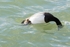 180307-Wirral0331