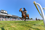 150726-Race 3-Lady Dublin-3165
