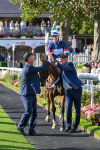 240824-Race 7-Sir Busker-2060