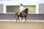 SBM_001700