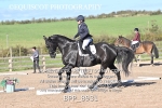 BPP_8931