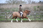 SBM_006041