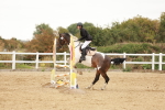SBM_009030