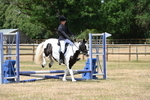 WJ6_5319