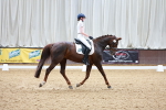 SBM_000731