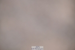 250627-201337-01478