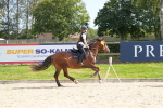 SBM_38938