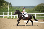 SBM_008739