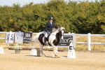 SBM_016750
