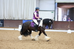 SBM_006137
