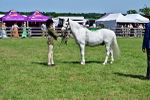 SBM_07817