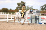 SBM_15993