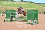 BPP_2313