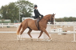 SBM_06317