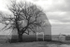 Ghost Barn II
