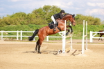 SBM_002422