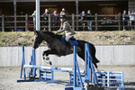 BVRC SJ 170319 393