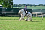 SBM_09390