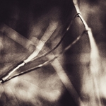 Soft Fragment of Kinetic Bubble