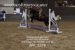 BPP_5379