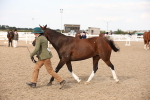 SBM_08204