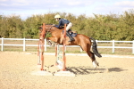 SBM_003250