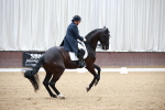SBM_008675