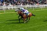 130526-Race 3-Dark Thirty-0180