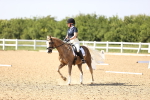 SBM_010275