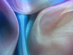 Blue Forms I