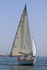 190629 ZIRCON 1196 1Y3A9943