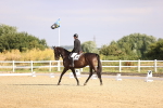 SBM_008458