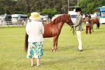 SBM_00486