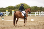 SBM_006847