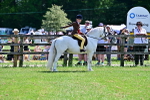 SBM_06434