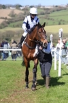 Race 3: Ladies Open portfolio