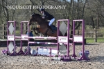 CLASS 1 SAT Springboard 128cm/ 138cm Restricted Handicap portfolio
