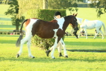 SBM_56780