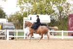 SBM_16408