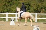 SBM_001556