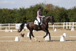 SBM_022703